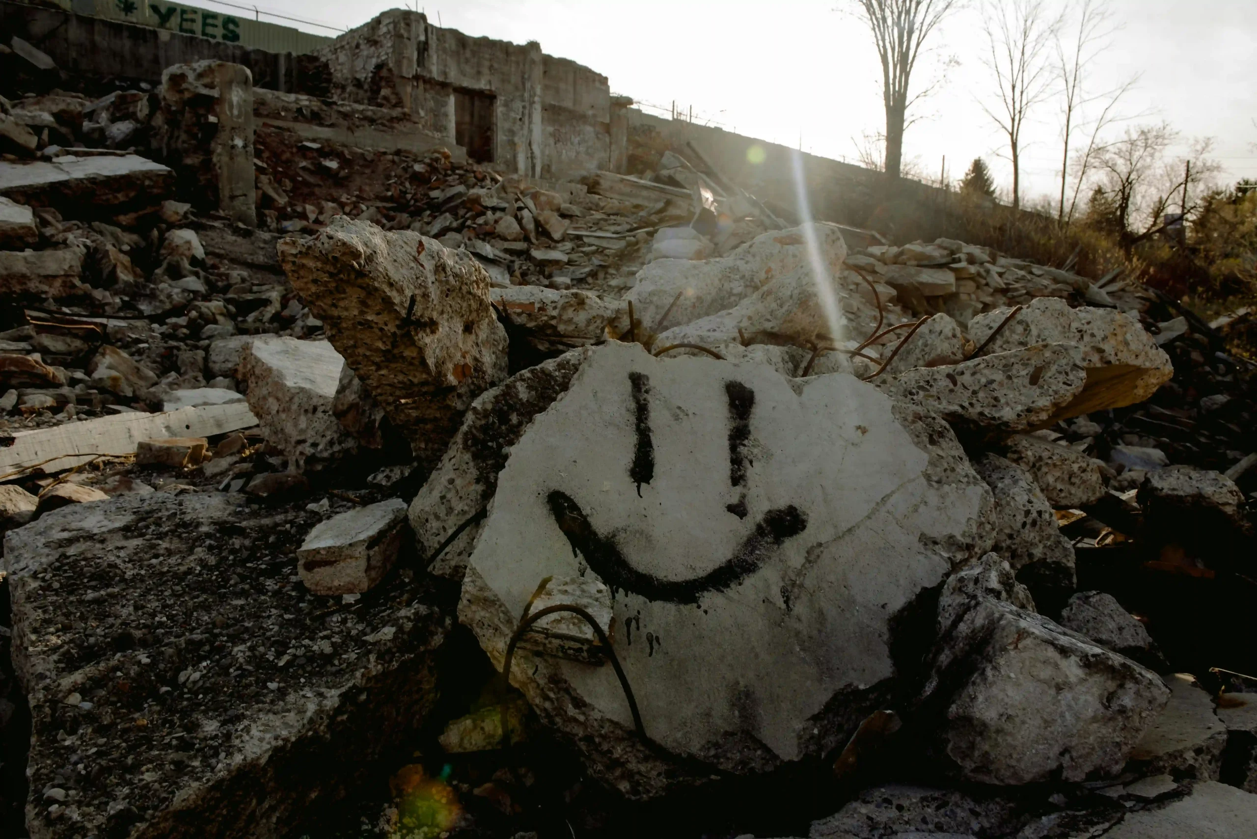 pexels harrisonhaines 7615951 (1)vfchvh